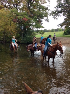 Playing in the river at Kensington Metropark