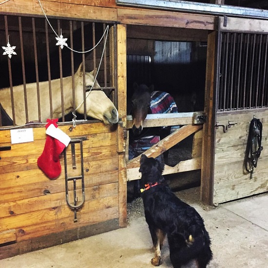 A meeting of the minds