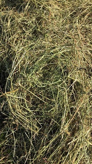 Mix Hay