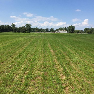 South Hay Field at SWR